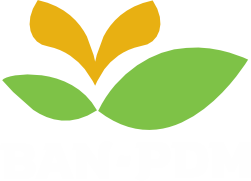 BAN-PDM Logo